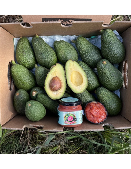 Acheter Avocats Hass et Confiture de Goyave Naturelle | Tropitop