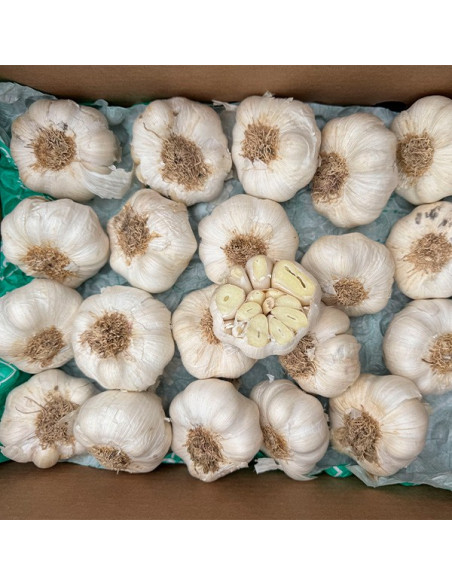 Comprar Ajo Blanco Online en Tropitop