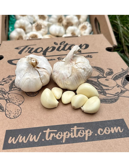 Buy White Garlic Online at Tropitop