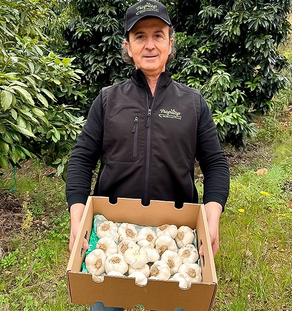 Acquista Aglio Bianco Online su Tropitop