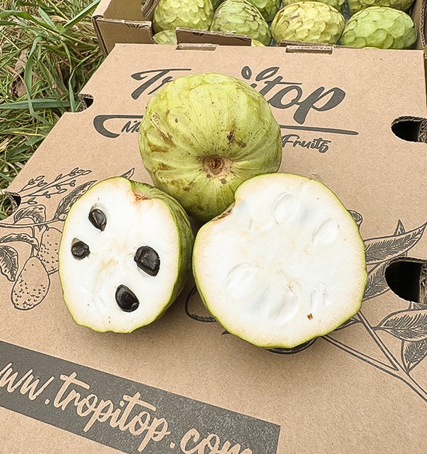 Chirimoya Online kaufen bei Tropitop