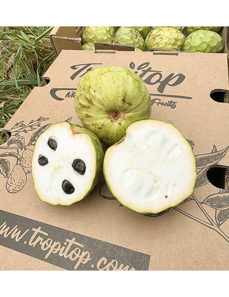 Comprar Chirimoya Online en Tropitop