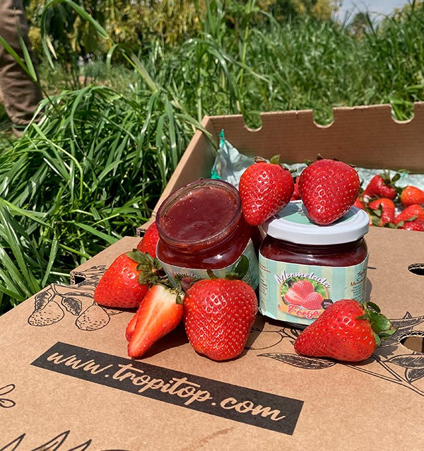 Acheter Confiture de Fraise Artisanale | Tropitop