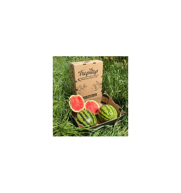 Comprar Sandía Rayada Online en Tropitop