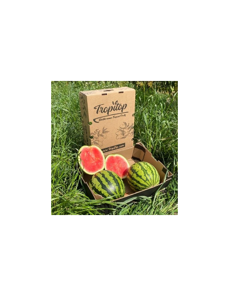 Comprar Melancia Rajada Online na Tropitop