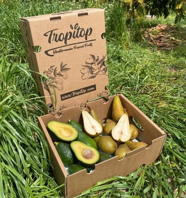 Comprar Abacate Hass e Peras Online | Tropitop