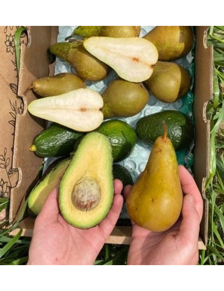 Aguacates Hass y Peras
