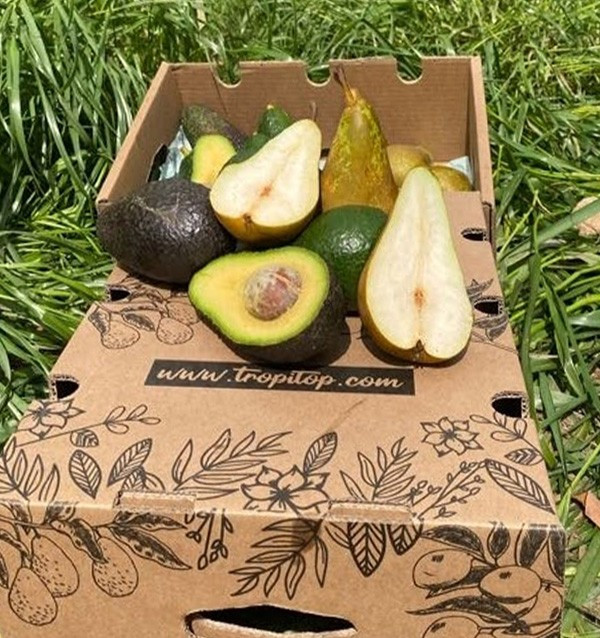 Hass-Avocados und Birnen online kaufen | Tropitop