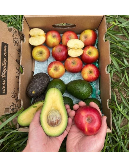 Aguacates Hass y Manzanas
