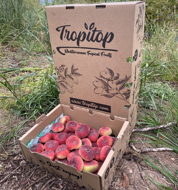 Comprar Pêssegos Achatados Online | Fruta de Verão Fresca