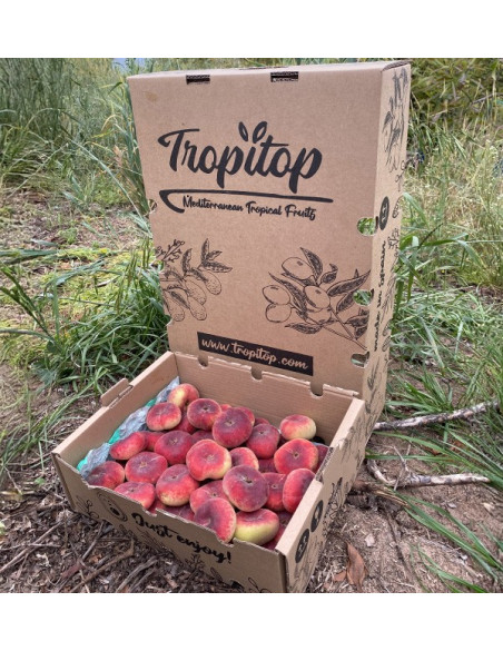 Buy Flat Peaches Online | Fresh Summer Fruit