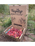 Flachpfirsiche