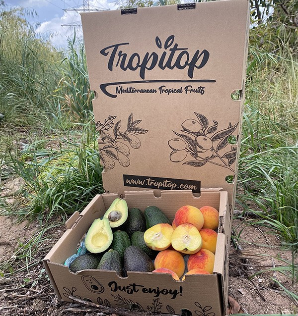 Acheter Avocats Hass et Pêches Jaunes en Ligne | Tropitop