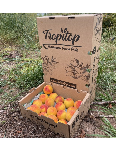 Buy Yellow Peaches Online | Seasonal Fruit Direct from the Farmer