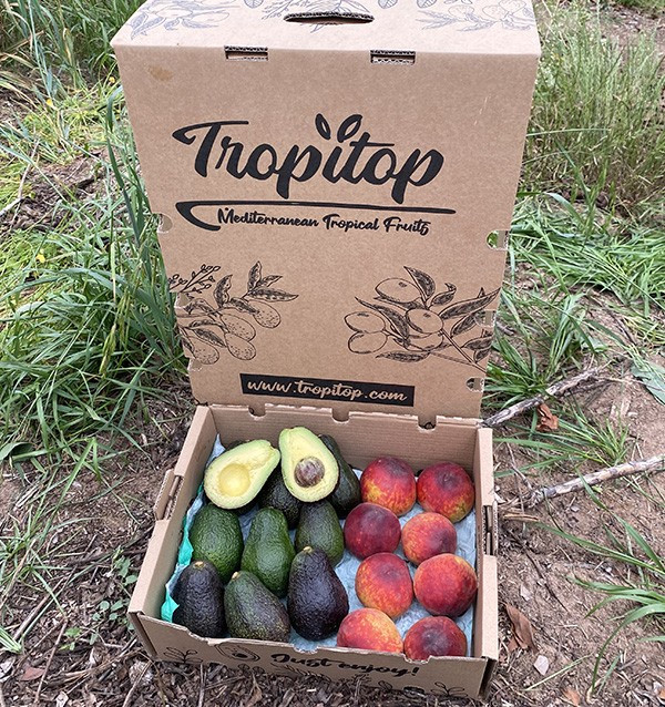 Acquista Avocado Hass e Pesche Rosse Online | Tropitop