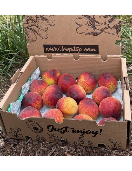 Buy Red Peaches Online | Seasonal Fruit Direct from the Farmer