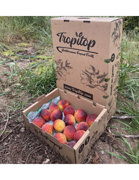Buy Red Peaches Online | Seasonal Fruit Direct from the Farmer