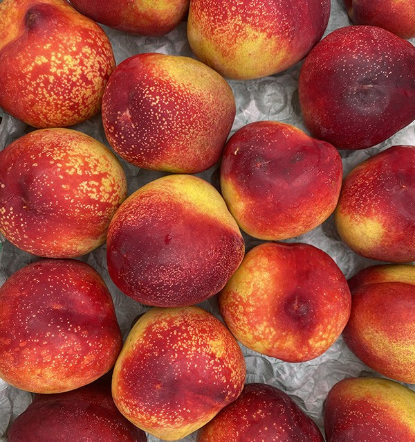 Comprar Nectarinas Online | Fruta de Verão Direta do Agricultor