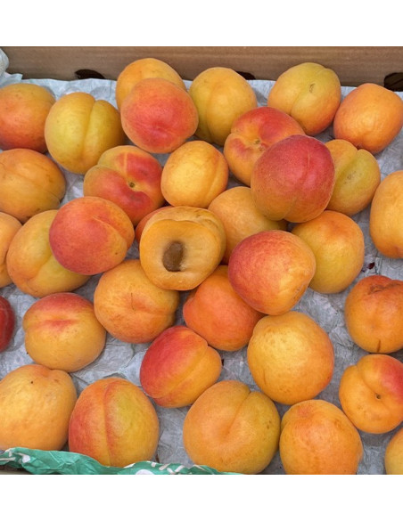 Comprar Albaricoques Online en Tropitop | Fruta de Temporada