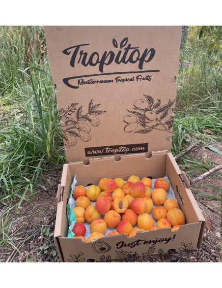 Comprar Albaricoques Online en Tropitop | Fruta de Temporada