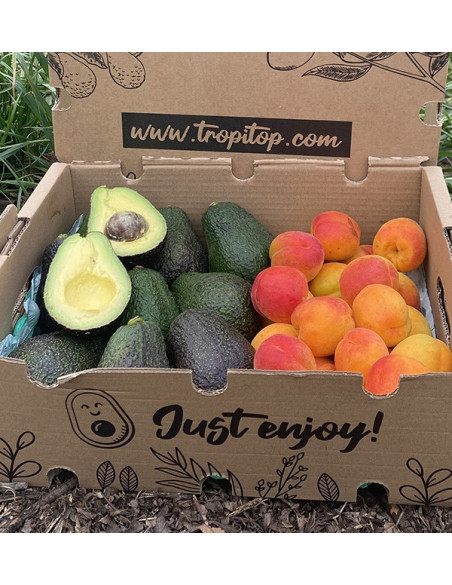 Acquista Avocado Hass e Albicocche Online | Tropitop