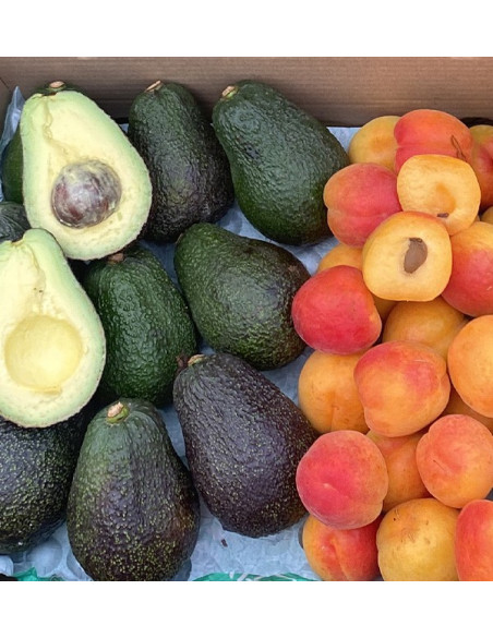 Acquista Avocado Hass e Albicocche Online | Tropitop
