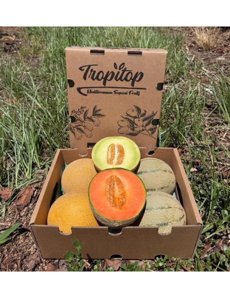 Compra Meloni Galia e Cantalupo Online | Box di meloni freschi | Tropitop