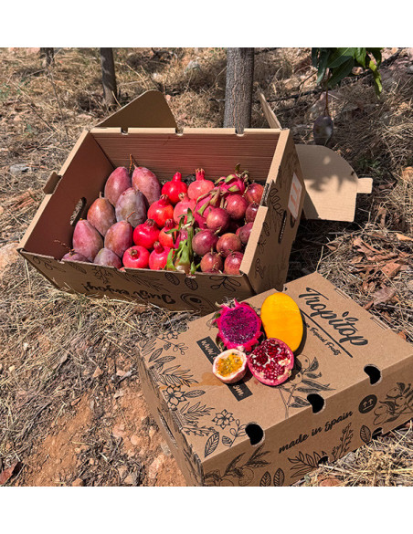 Buy Tropical Pack: passion fruit, pitahaya, mango and pomegranate | Tropitop