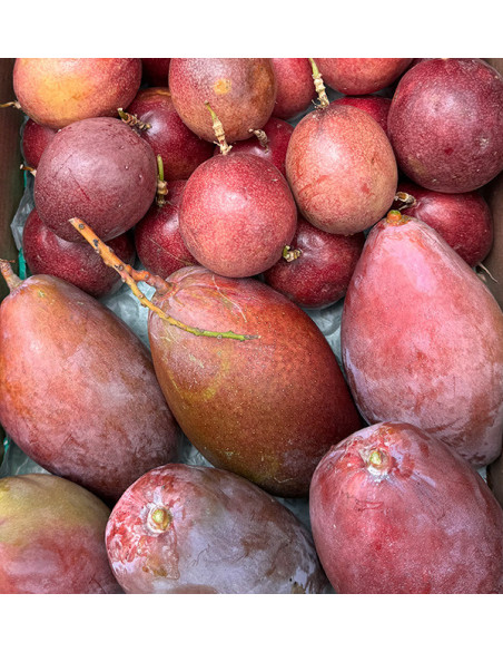 Acheter Mangue et Fruit de la Passion Frais en Ligne | Tropitop Espagne