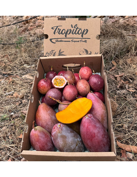 Acheter Mangue et Fruit de la Passion Frais en Ligne | Tropitop Espagne