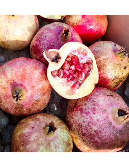 Buy pomegranates online at Tropitop