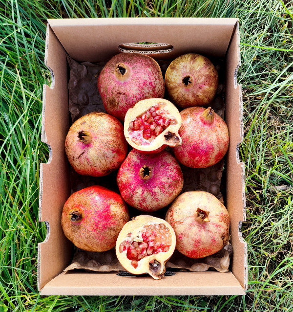 Buy pomegranates online at Tropitop