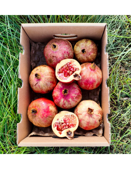 Buy pomegranates online at Tropitop