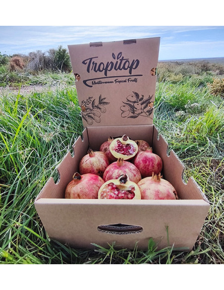 Buy pomegranates online at Tropitop