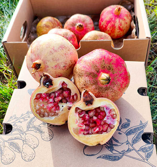 Buy pomegranates online at Tropitop