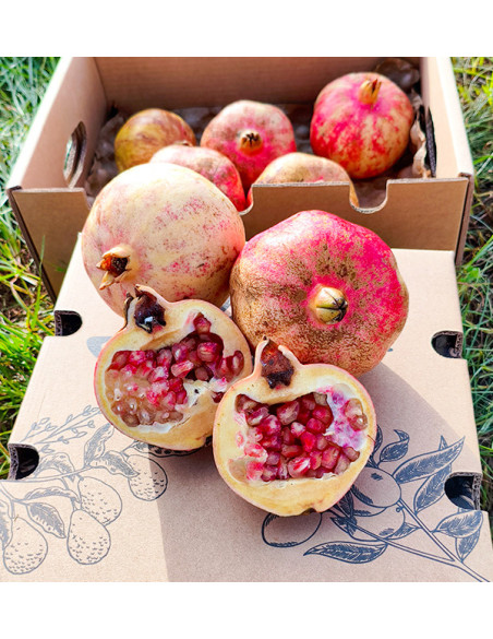 Buy pomegranates online at Tropitop