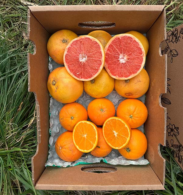 Kaufen Sie Grapefruits und Orangen direkt vom Bauern