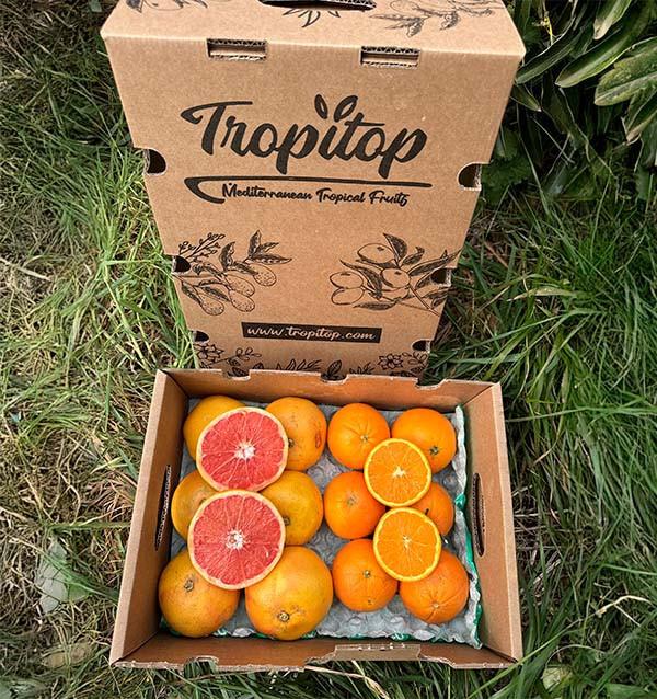 Comprar laranjas e toranjas