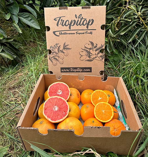 Comprar Pomelos y Naranjas directos del agricultor