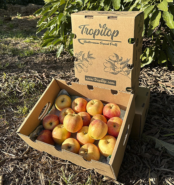 Acheter des Pommes Fuji en Ligne | Tropitop