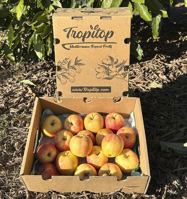 Buy Fuji Apples Online | Tropitop