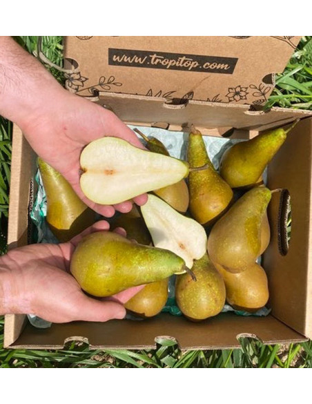 Acheter des Poires en Ligne | Tropitop