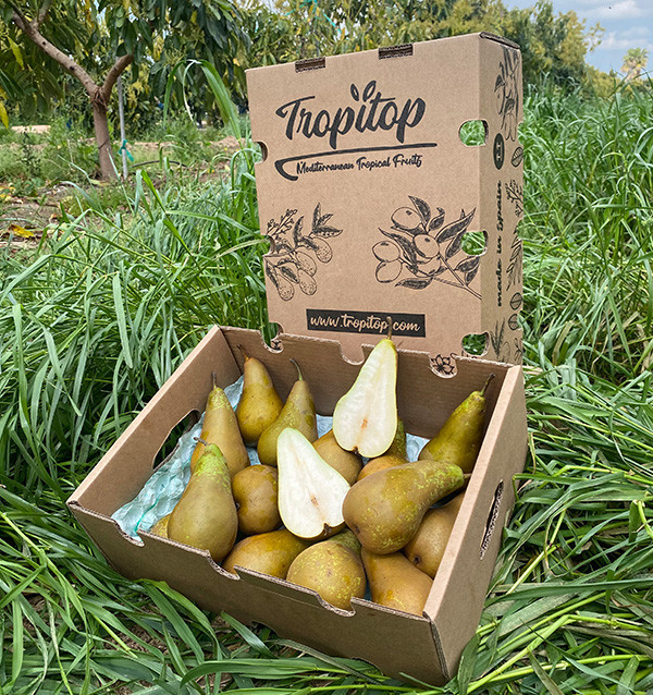 Buy Pears Online | Tropitop
