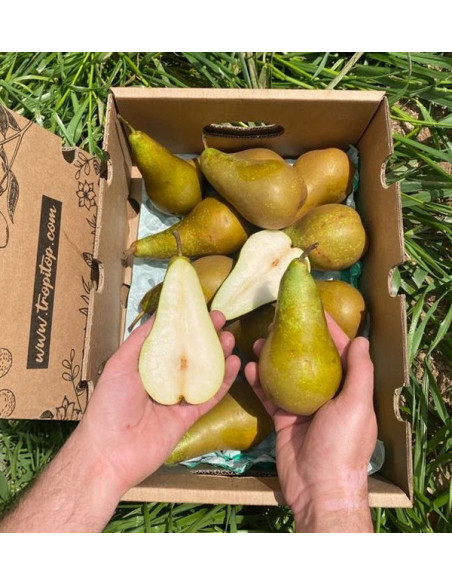 Birnen Online Kaufen | Tropitop