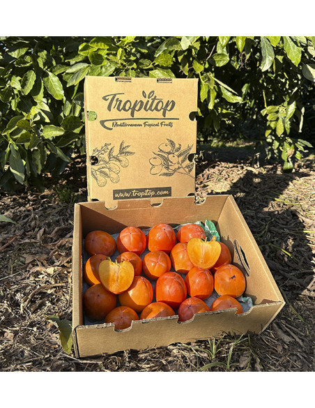 Comprar Caqui Online en Tropitop