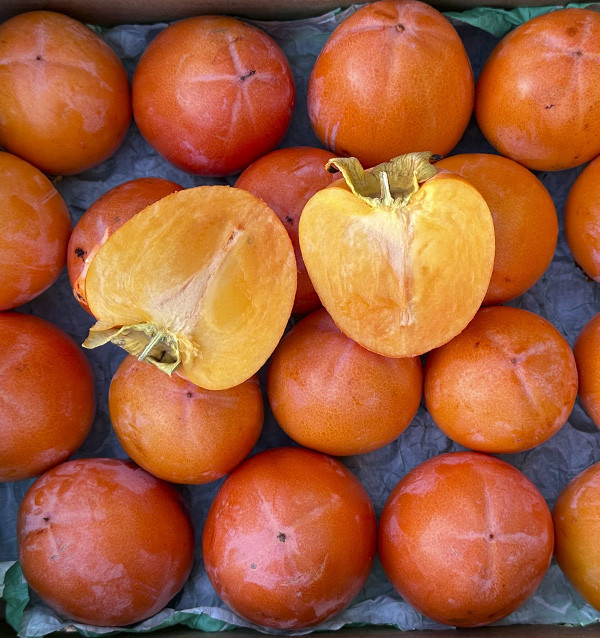 Buy Persimmons Online | Tropitop