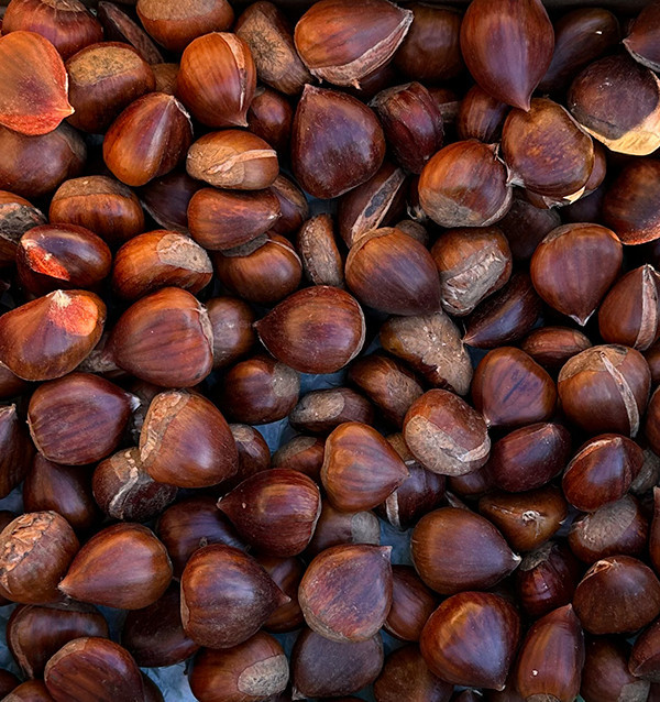 Kastanien Online Kaufen | Tropitop