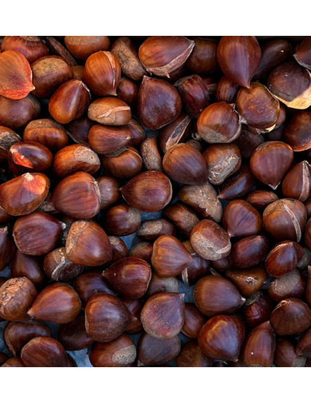 Buy Chestnuts Online | Tropitop