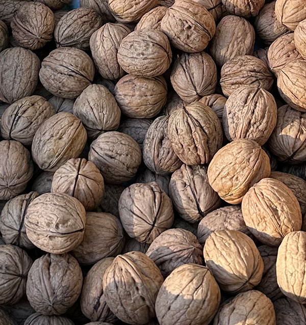 Comprar Nueces Online | Tropitop 2