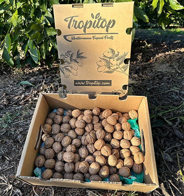 Buy Walnuts Online | Tropitop